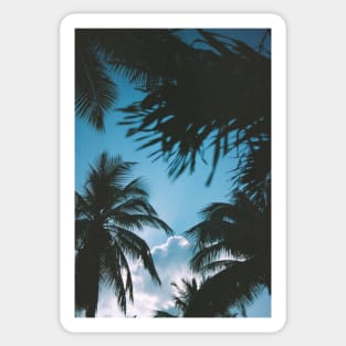 Tropical sunset Sticker